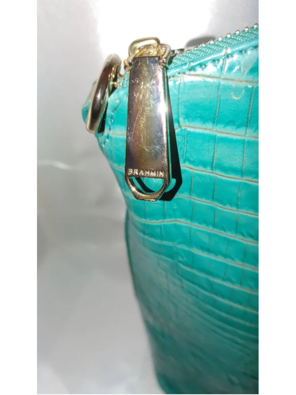 Brahmin Large Duxbury Iguana Satchel